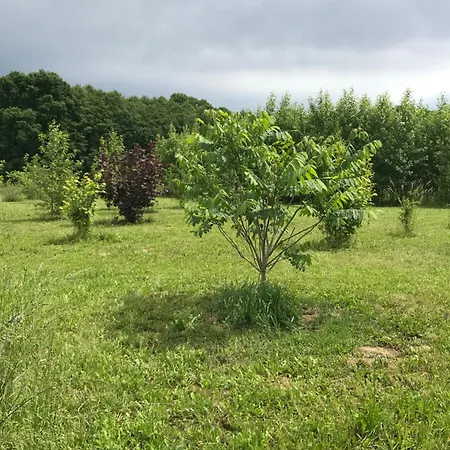Karhule *